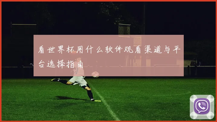 看世界杯用什么软件观看渠道与平台选择指南