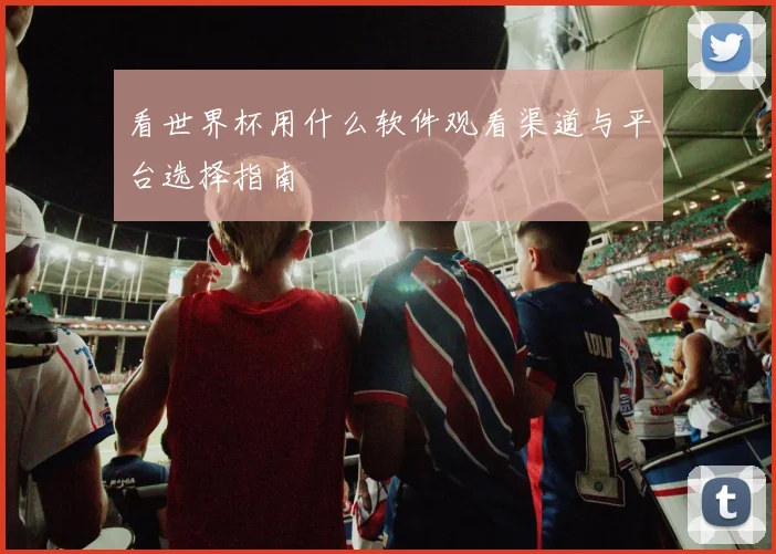 看世界杯用什么软件观看渠道与平台选择指南