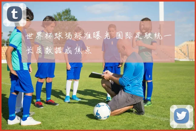 世界杯球场标准曝光 国际足联统一长度数据成焦点