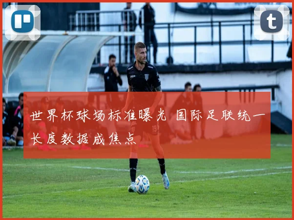 世界杯球场标准曝光 国际足联统一长度数据成焦点